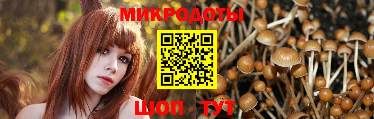 Псилоцибиновые грибы MAGIC MUSHROOMS  Псилоцибиновые грибы GOLDEN TEACHER  Белая Калитва  Вход с VPN 