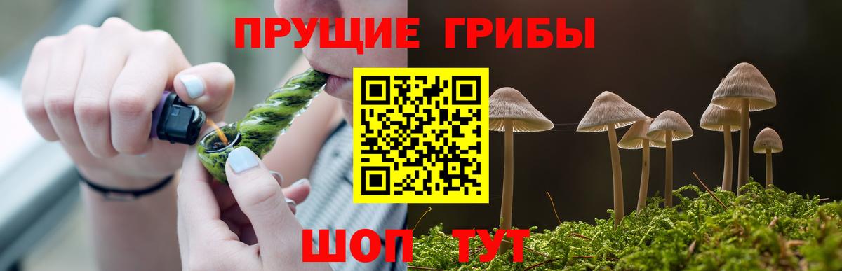 Псилоцибиновые грибы мухоморы Белая Калитва